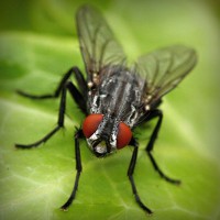 /album/ciencias-sociales/photolia-a01-jpg/