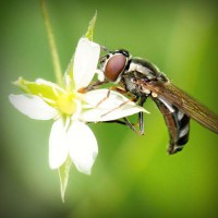 /album/ciencias-sociales/photolia-a02-jpg/