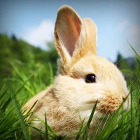 /album/ciencias-sociales/photolia-a03-jpg/