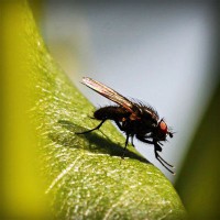 /album/ciencias-sociales/photolia-a04-jpg/