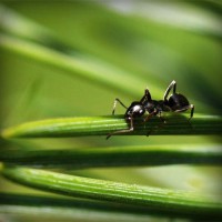 /album/ciencias-sociales/photolia-a05-jpg/