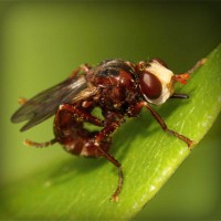 /album/ciencias-sociales/photolia-a06-jpg/