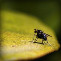 /album/ciencias-sociales/photolia-a07-jpg/