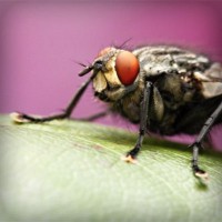 /album/ciencias-sociales/photolia-a08-jpg/